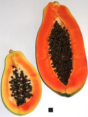 Papaya ಪರಂಗಿಹಣ್ಣು.jpg