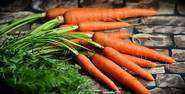 Carrot .jpg