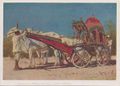 Indian Rich People on Royal Bullock Cart vintage Russian Post Card.jpg