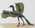 Archaeopteryx bird (imaginary).jpg