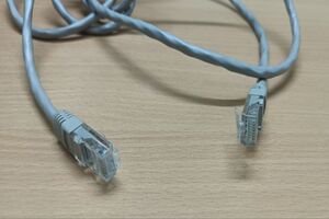 Lan cable.jpg