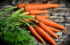 Carrot (copy)1new.jpg