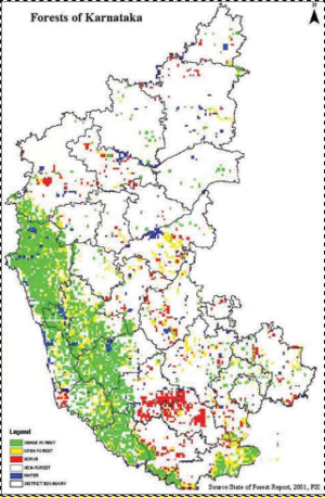 Karnataka forests.jpg