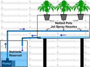 Aeroponic 2.jpg